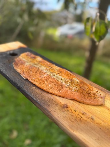 Bild eines Flamm-Saiblings